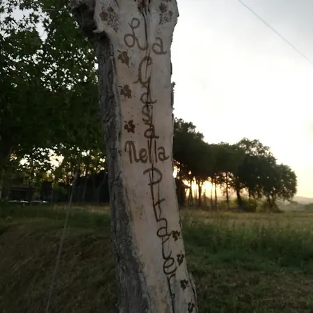 Oda ve Kahvaltı La Casa Nella Prateria Misano Adriatico