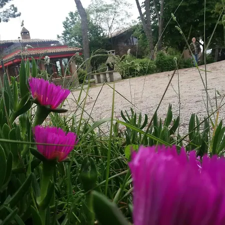 La Casa Nella Prateria Misano Adriatico